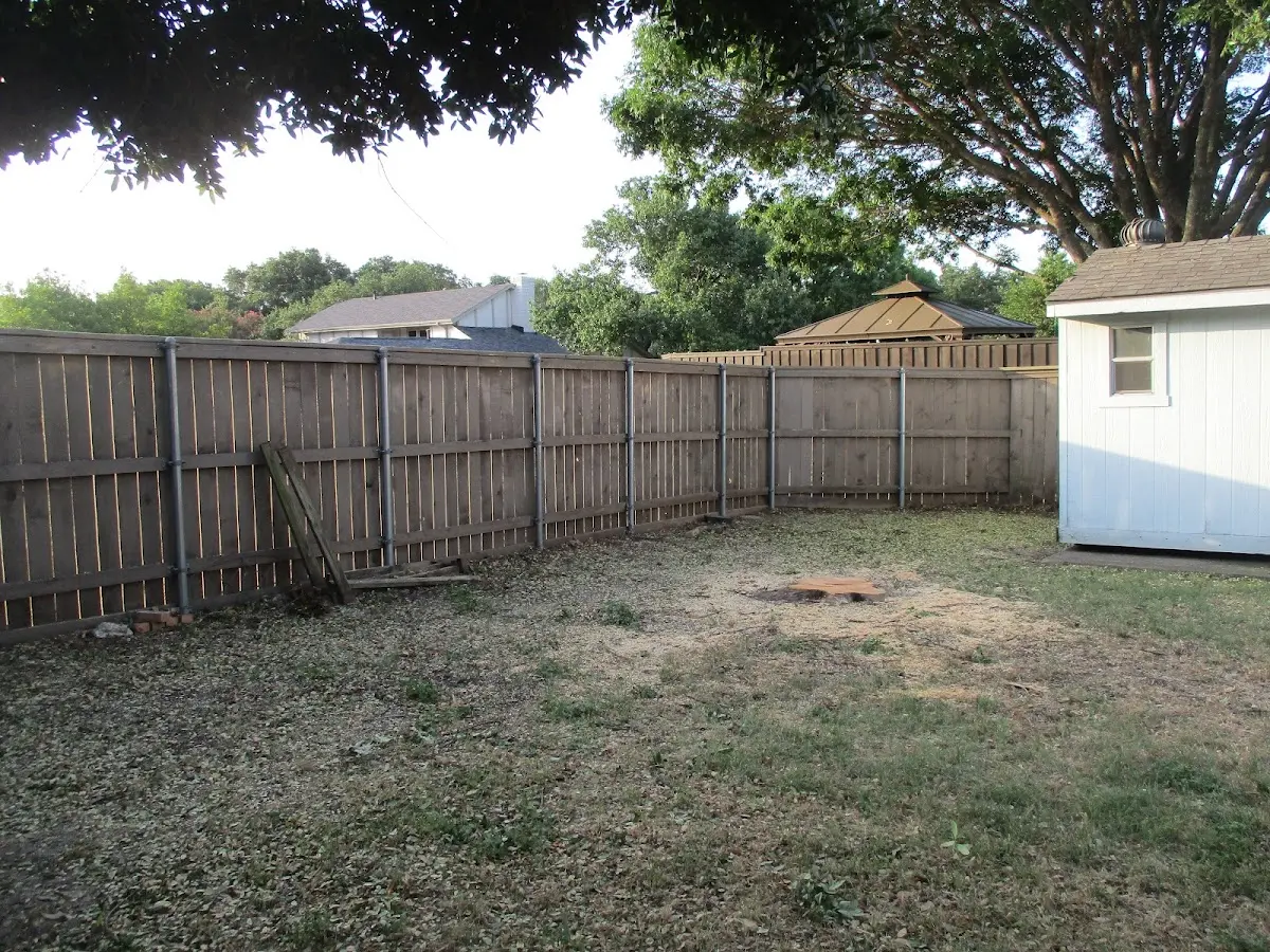 Cleared yard after professional tree removal in Stone Lake