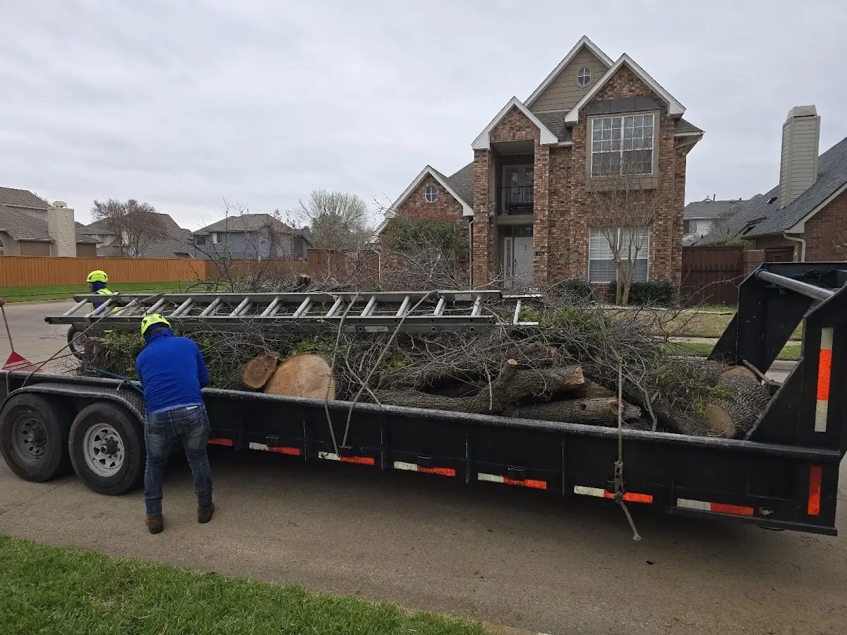 Expert Lot Clearing with proper safety equipment in Stone Lake